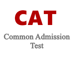 cat last days preparation tips